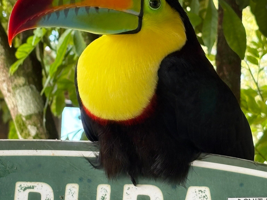 Maleku Tours-利比里亚必去景点