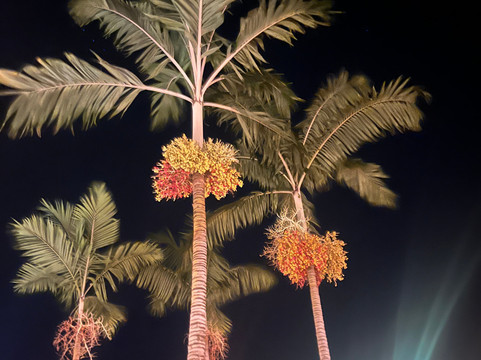 Top Travel Costa Rica-圣何塞必去景点