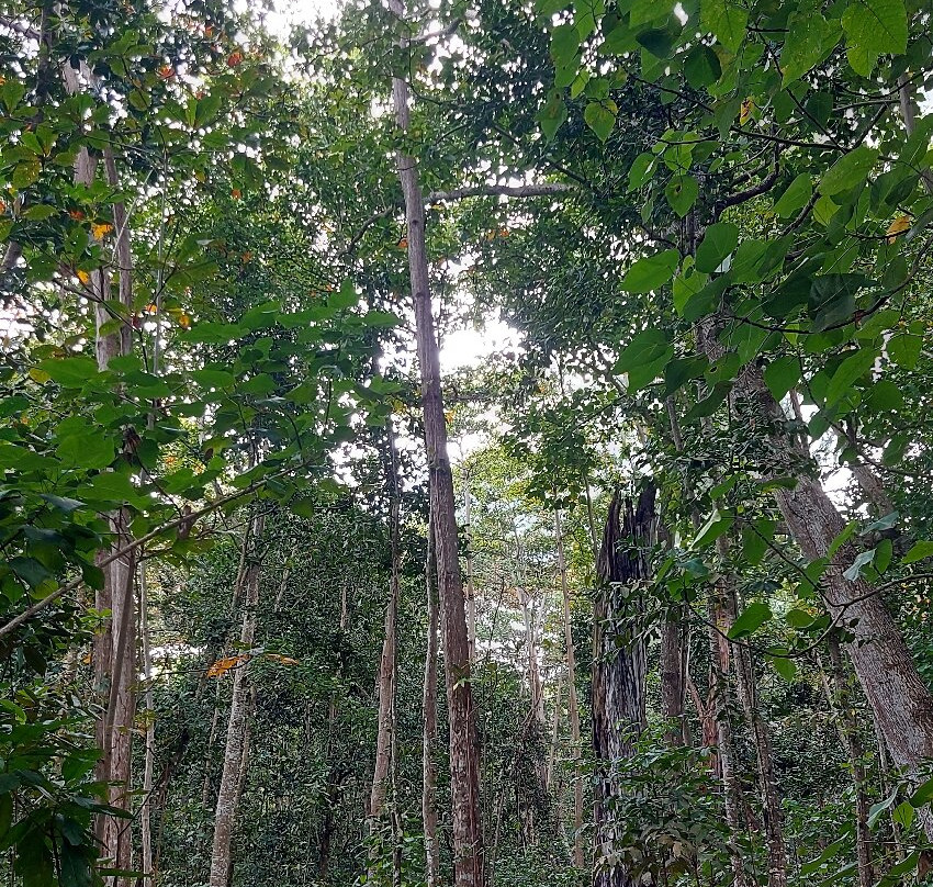 Veuve Nature Reserve-拉迪格岛必去景点