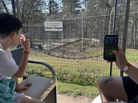 Turpentine Creek Wildlife Refuge-尤里卡斯普林斯必去景点