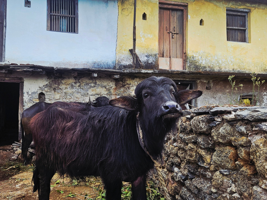 Travel With Pammi-Muni Ki Reti必去景点