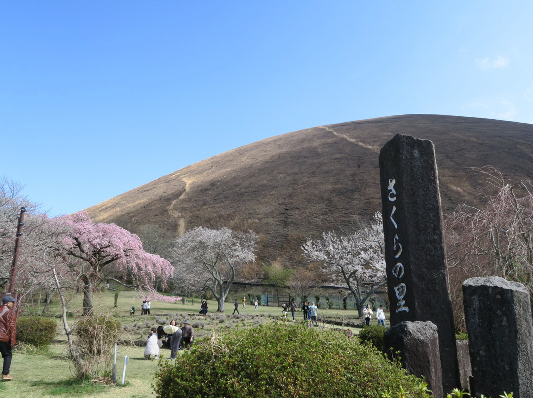 Sakura no Sato-伊东市必去景点