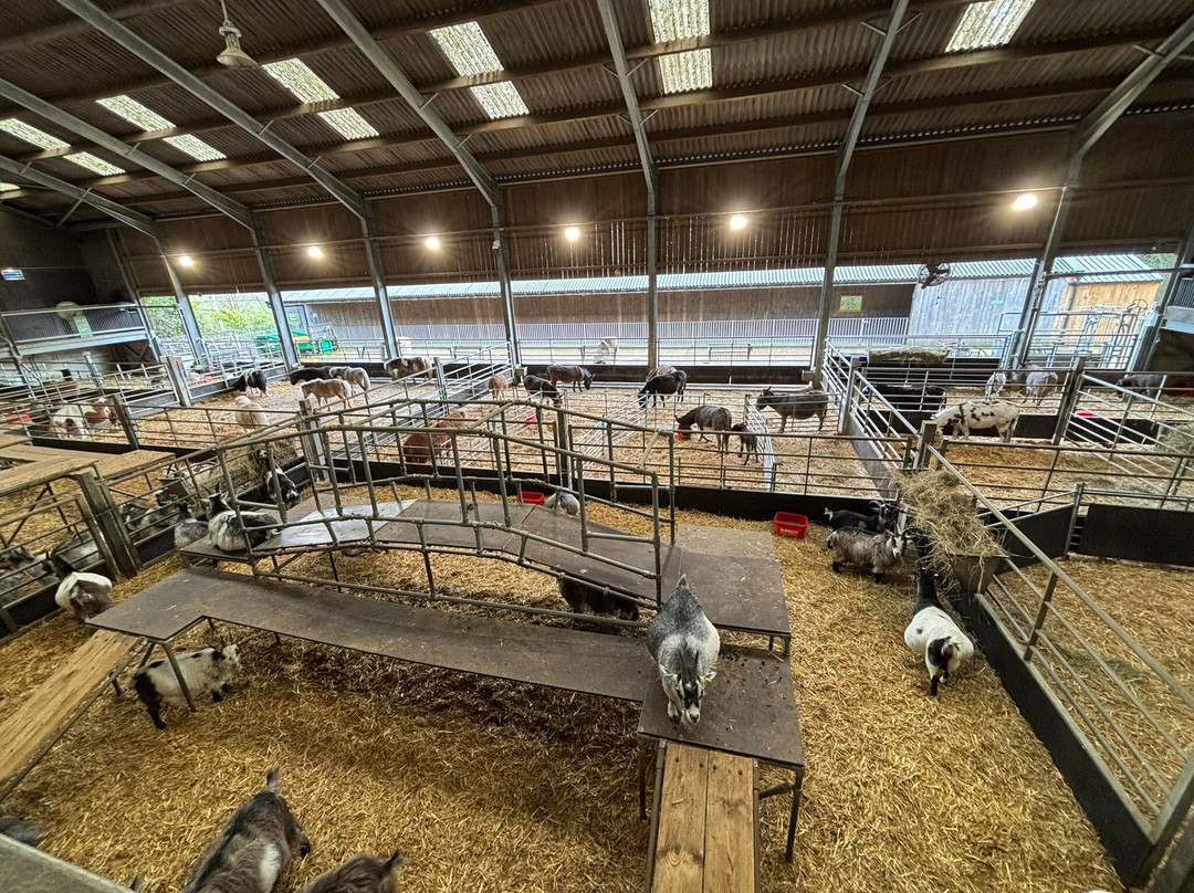 Cannon Hall Farm-Cawthorne必去景点