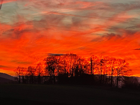 Murten Altstadt-Murten必去景点