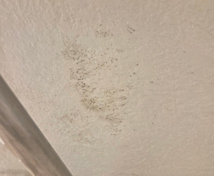 图森机场拉昆塔温德姆套房酒店主图