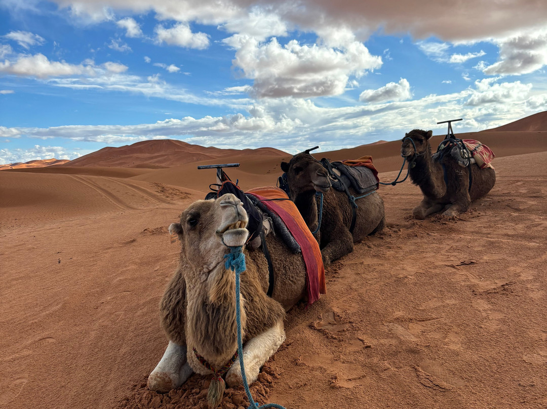 Marrakech Desert Trips-马拉喀什必去景点