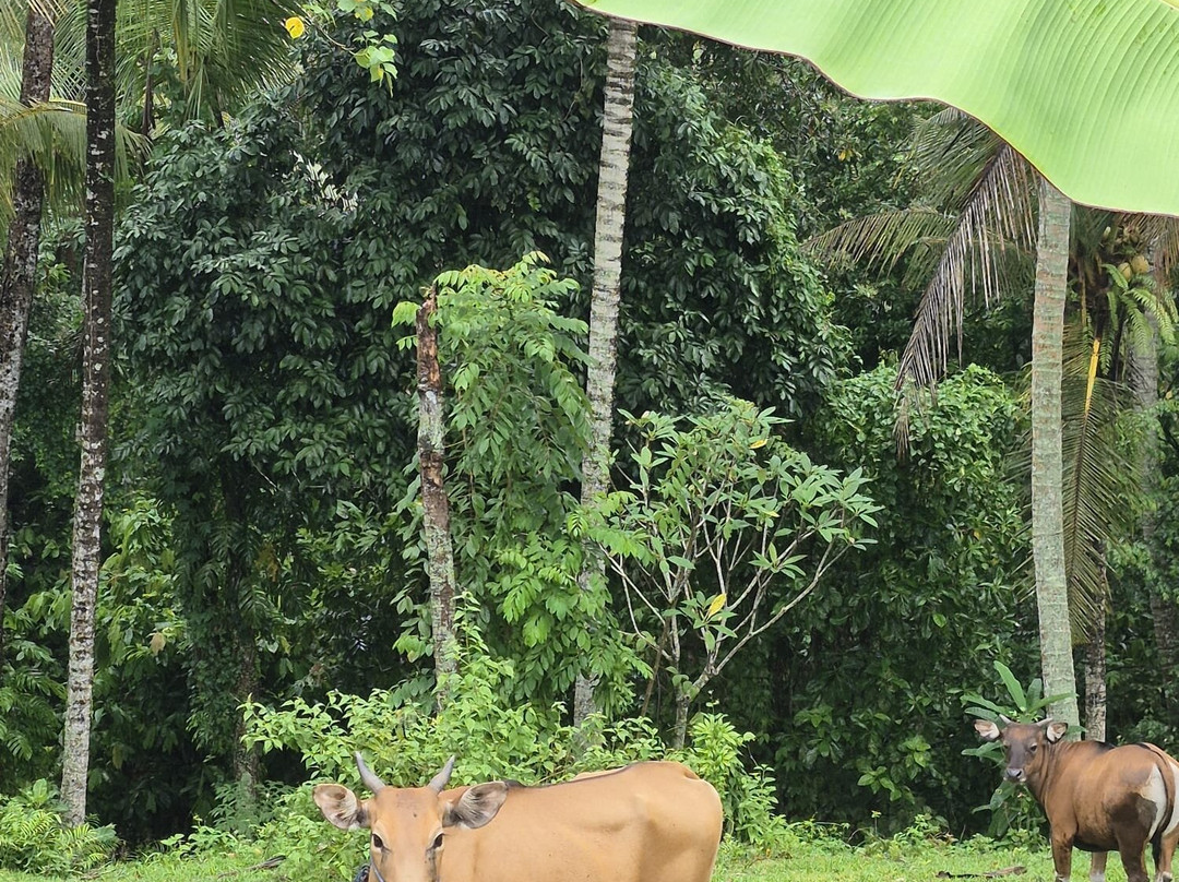 霎哈嘉萨瓦度假别墅主图