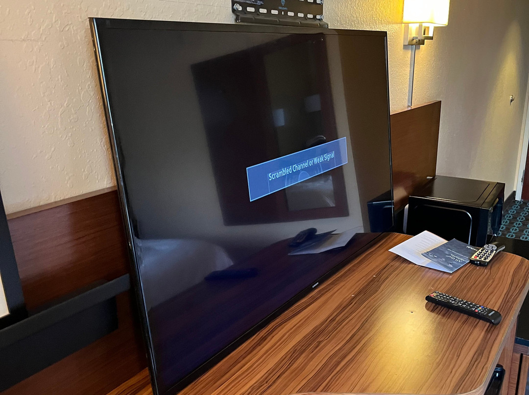 坦帕布兰登万枫酒店及套房主图