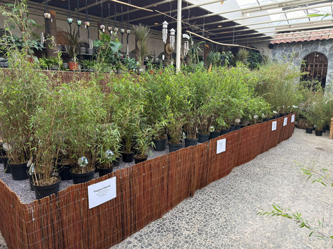 Evenaar-埃滕 - 勒尔必去景点