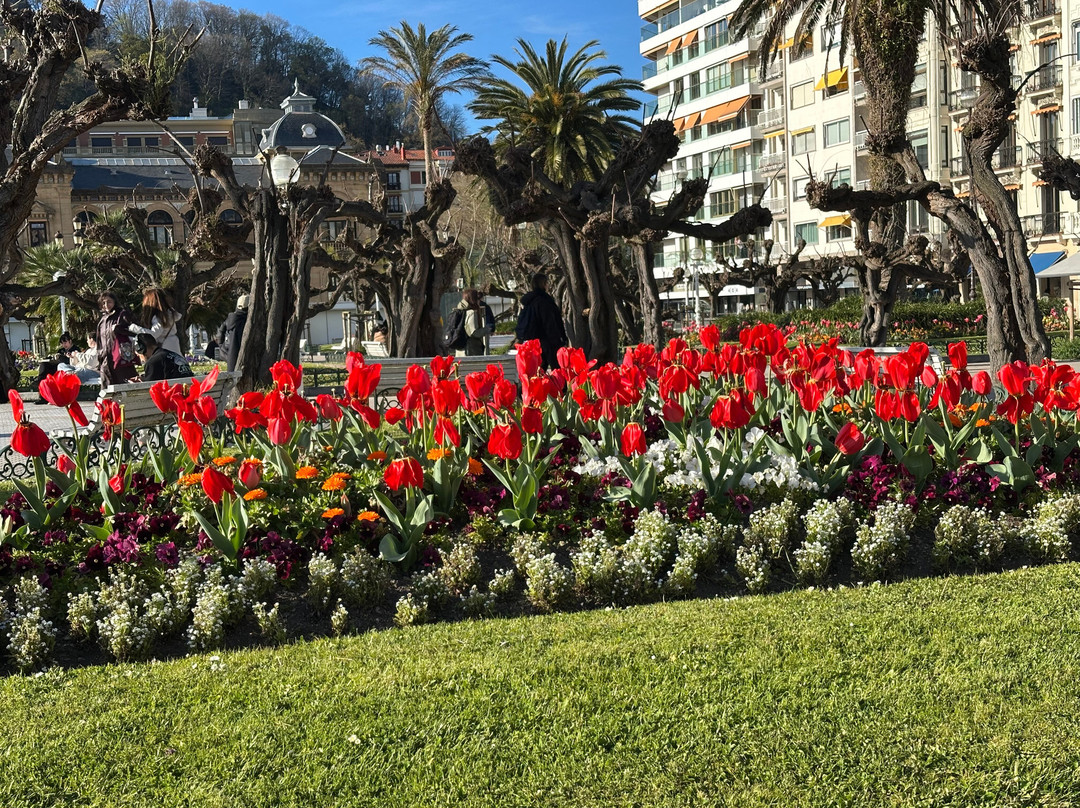 Alderdi Eder parkea-圣塞瓦斯蒂安必去景点