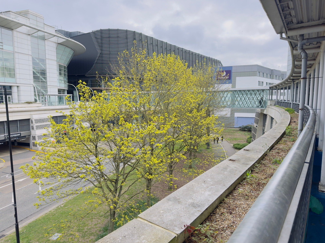 Westquay Shopping Centre-南安普敦必去景点