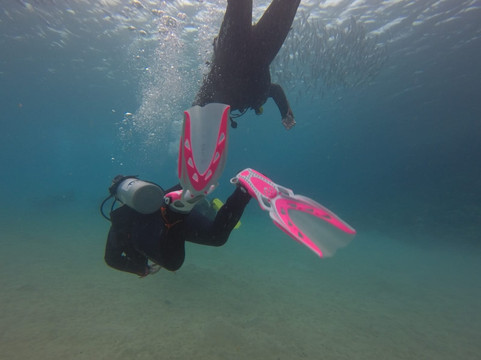 ORCA Dive Club Coral Garden