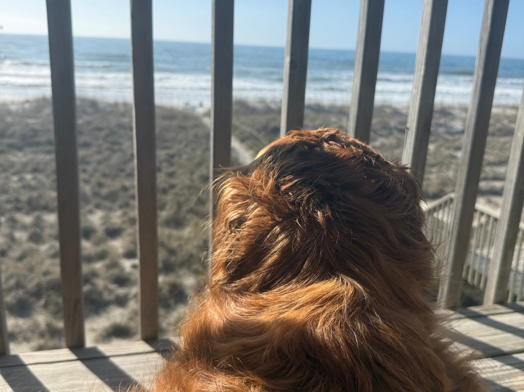 海景汽车旅馆主图