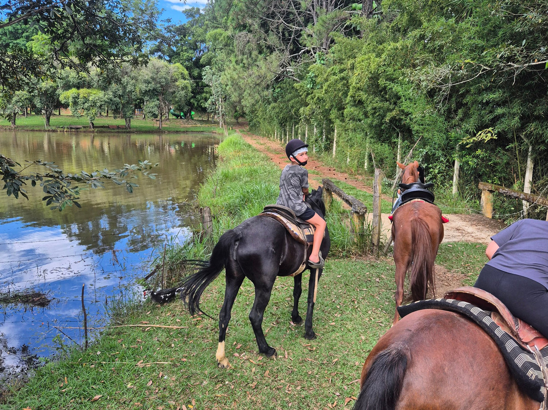 拉各斯塞特农场酒店主图