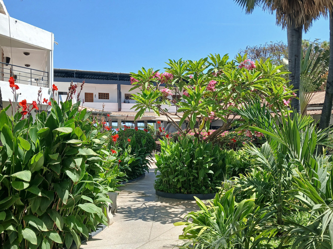 Hôtel le Perroquet主图