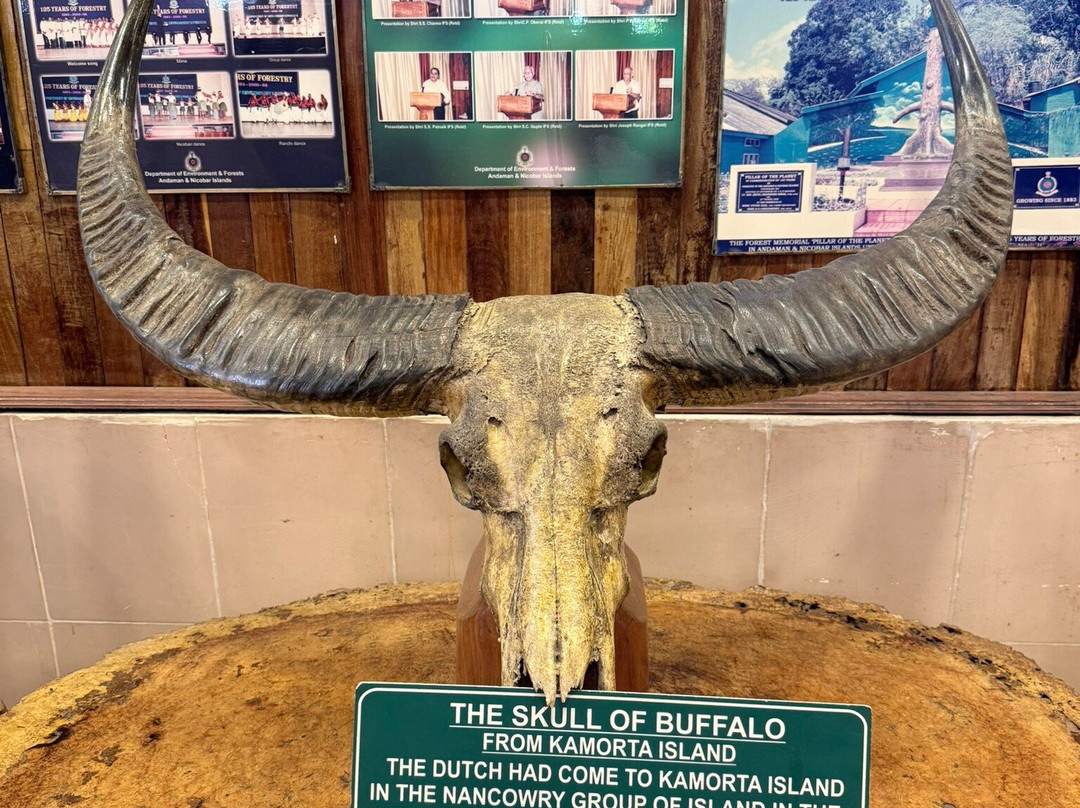 Chatham Saw Mill-布莱尔港必去景点