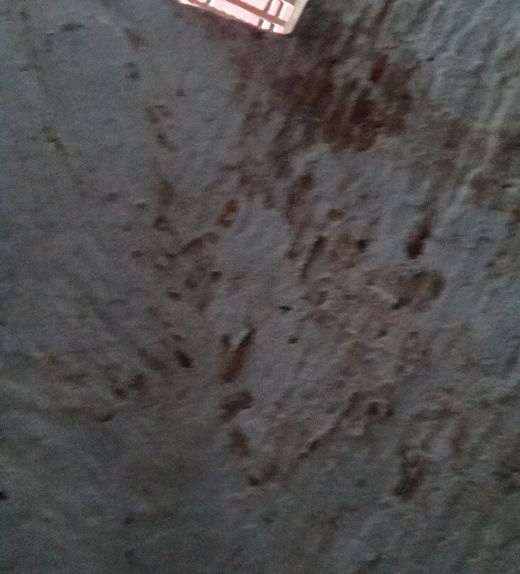 Fort Frederik-Frederiksted必去景点