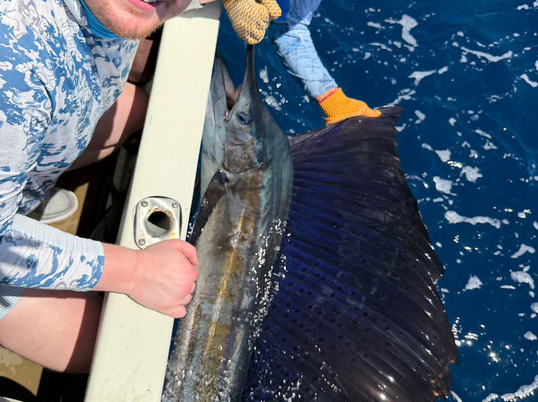 Sea Star CR Sport Fishing and Adventure Tours-Area de Conservacion Guanacaste必去景点