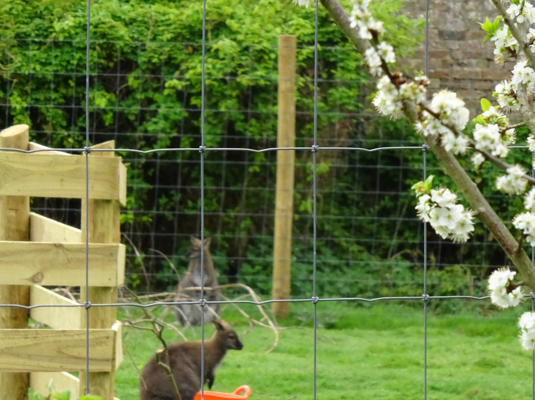 Wildwood Devon-Ottery St. Mary必去景点