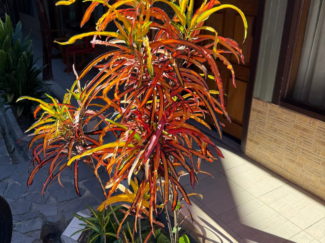 艾尔阿塔德瑟酒店主图