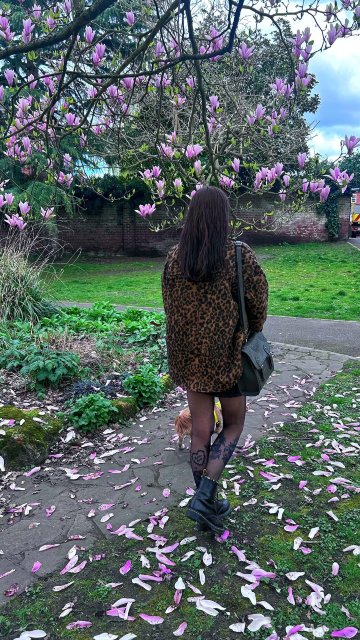 塞文谷旅馆-官方