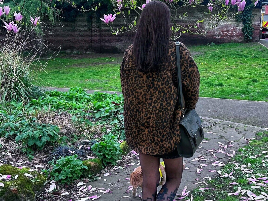 塞文谷旅馆主图