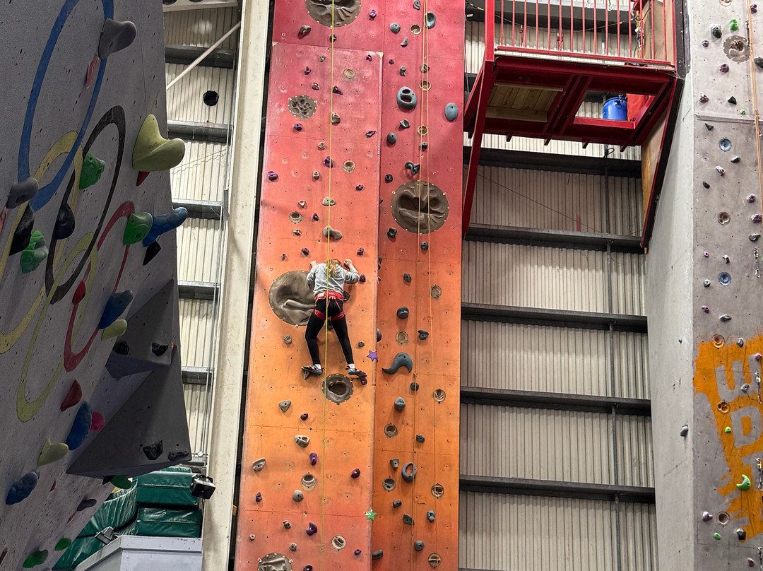 Summit Centre Climbing Wall-Trelewis必去景点