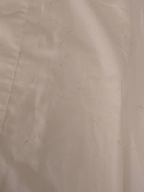 希尔顿欢朋酒店-什鲁斯伯里-旅行者