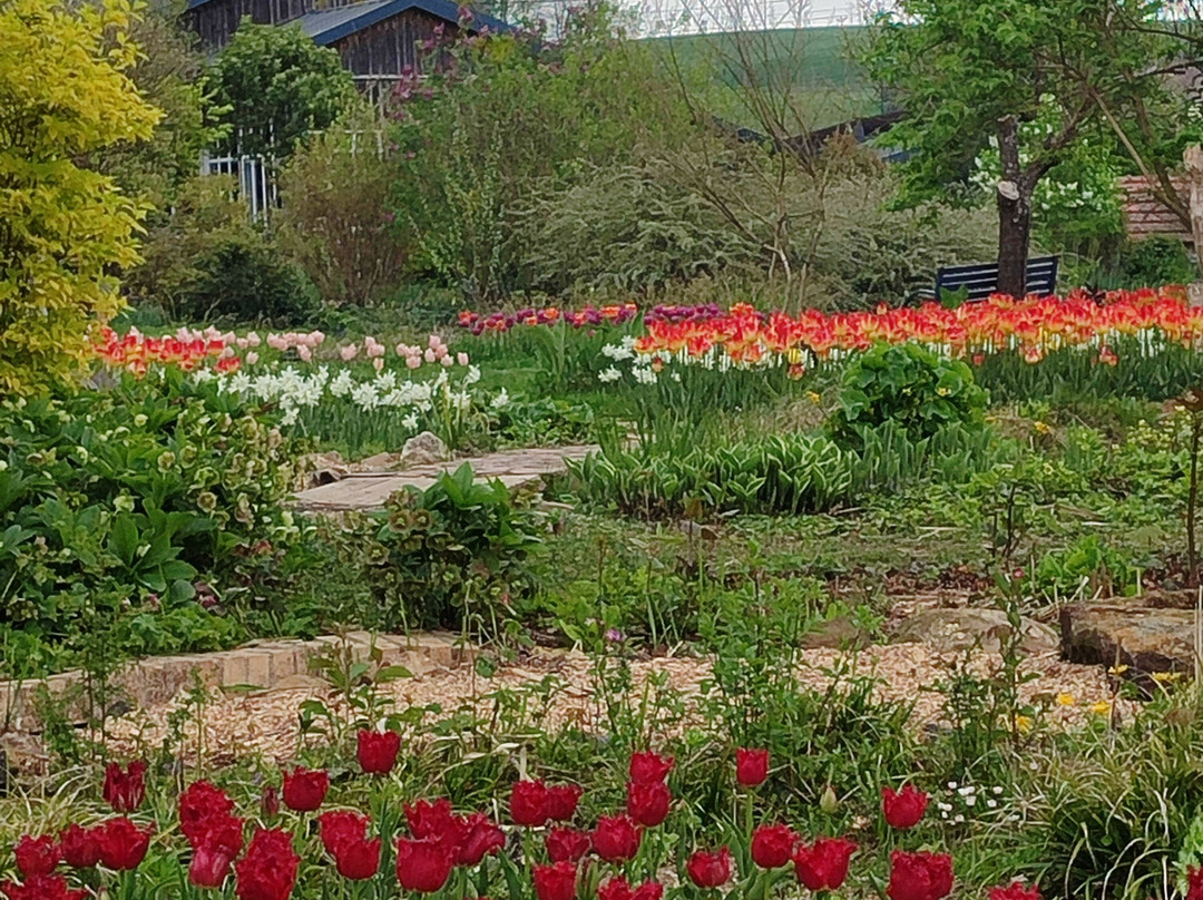 Jardin du Peintre Andre Van Beek-Saint-Paul必去景点