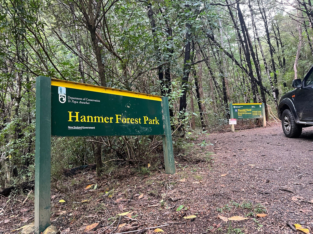 Dog Stream Waterfall