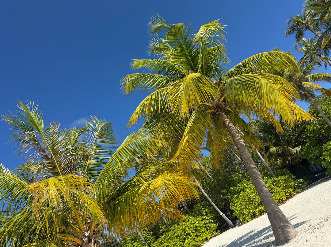 Atmosphere 卡尼富士度假村主图