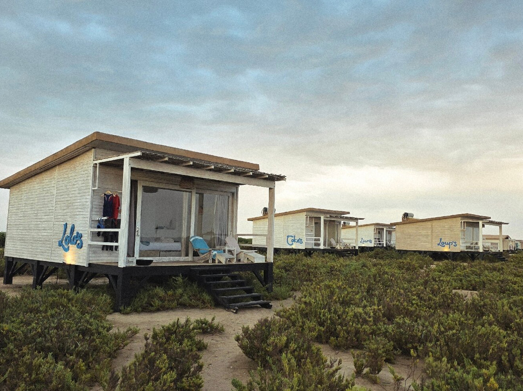 Ocean Vagabond Lassarga主图