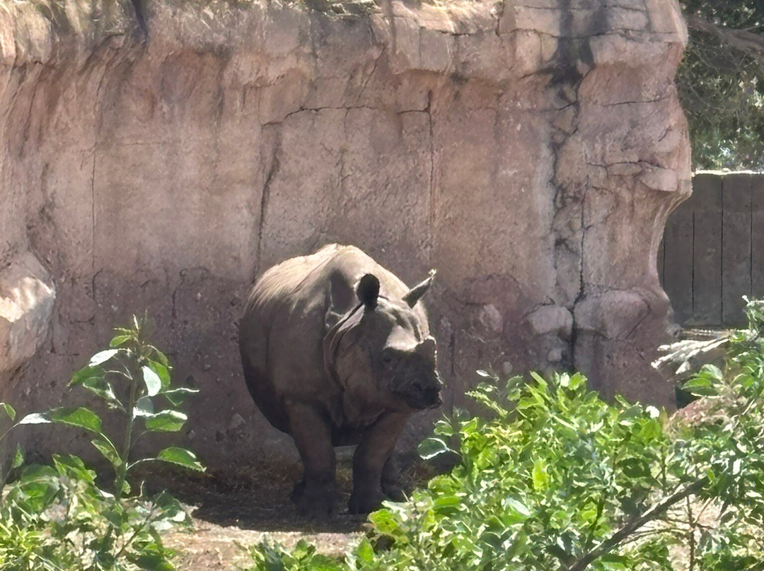Terra Natura Benidorm-贝尼多姆必去景点