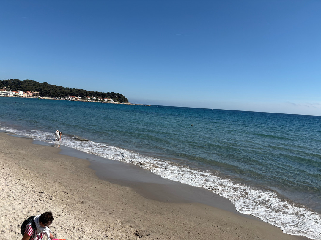 Plage des Sablettes-滨海拉塞纳必去景点