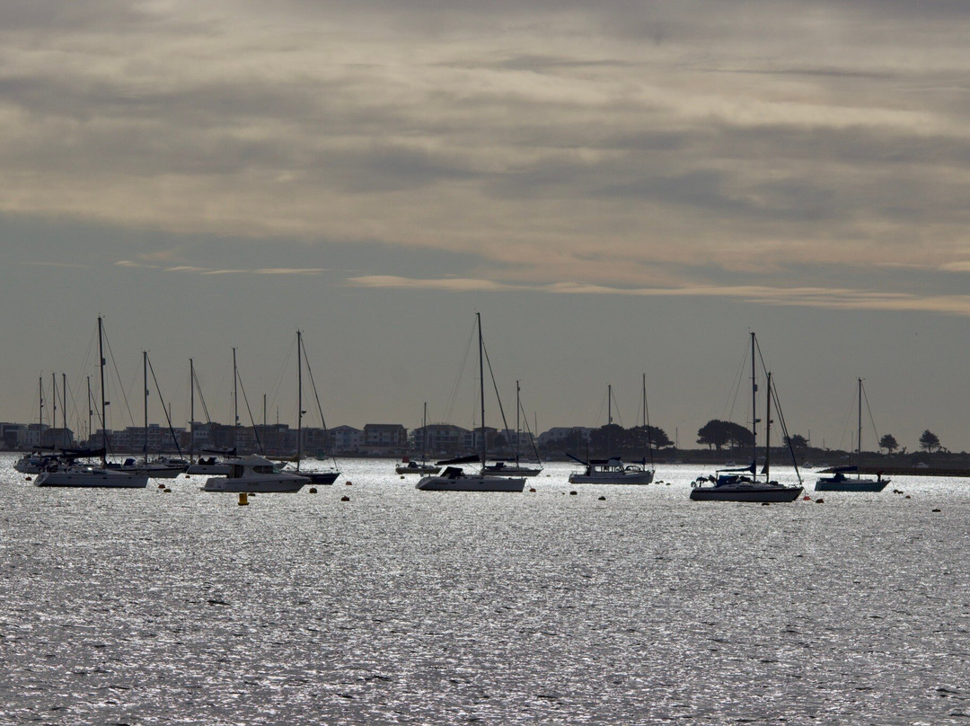 Birds Of Poole Harbour Events-普尔必去景点