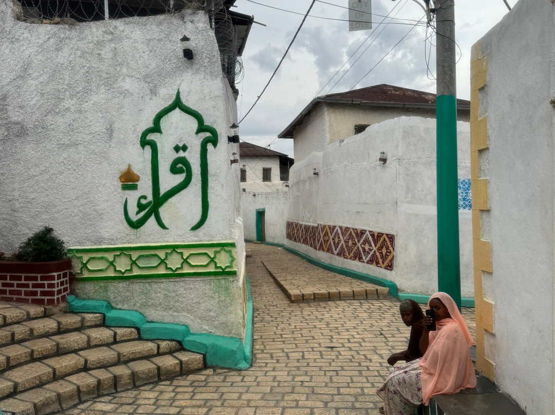 Edom Harar Tours & Car Rentals-哈勒尔必去景点