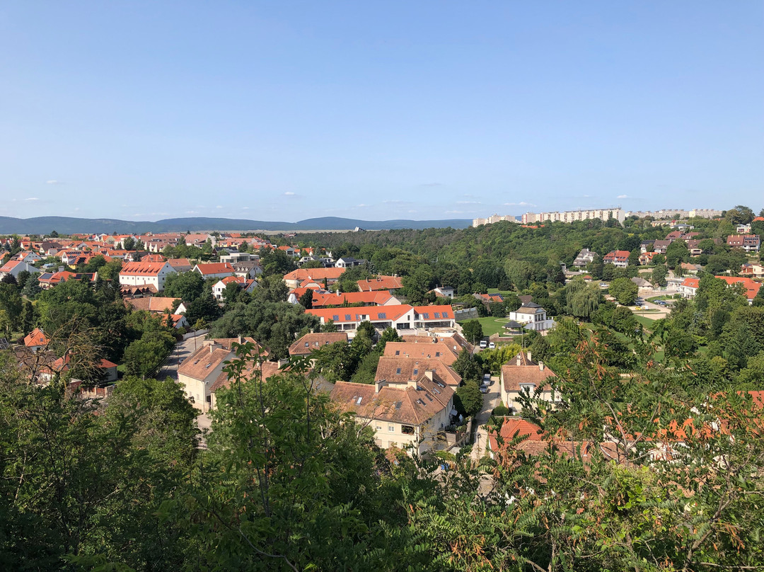 Castle Hill (Veszpremi Varhegy)-维斯普雷姆必去景点