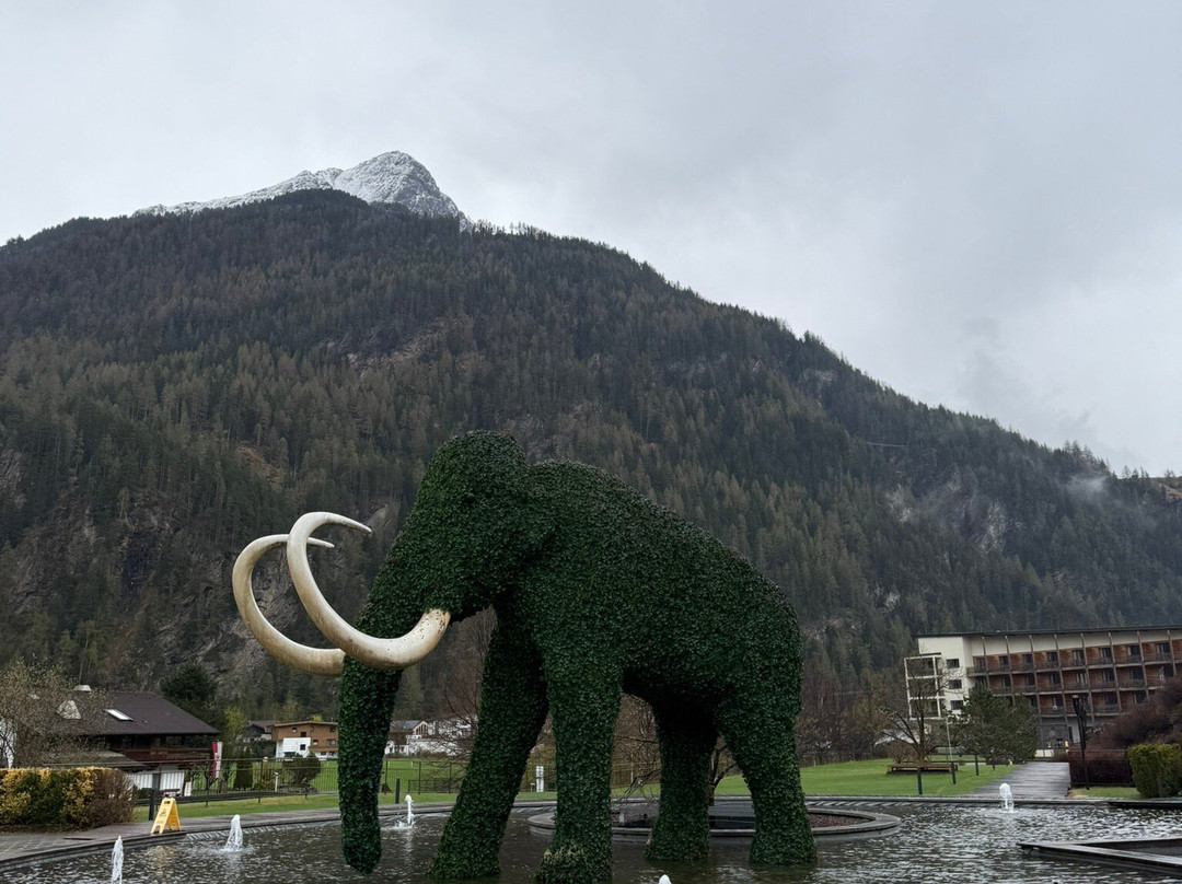 Aqua Dome - Tirol Therme Laengenfeld-兰根地必去景点