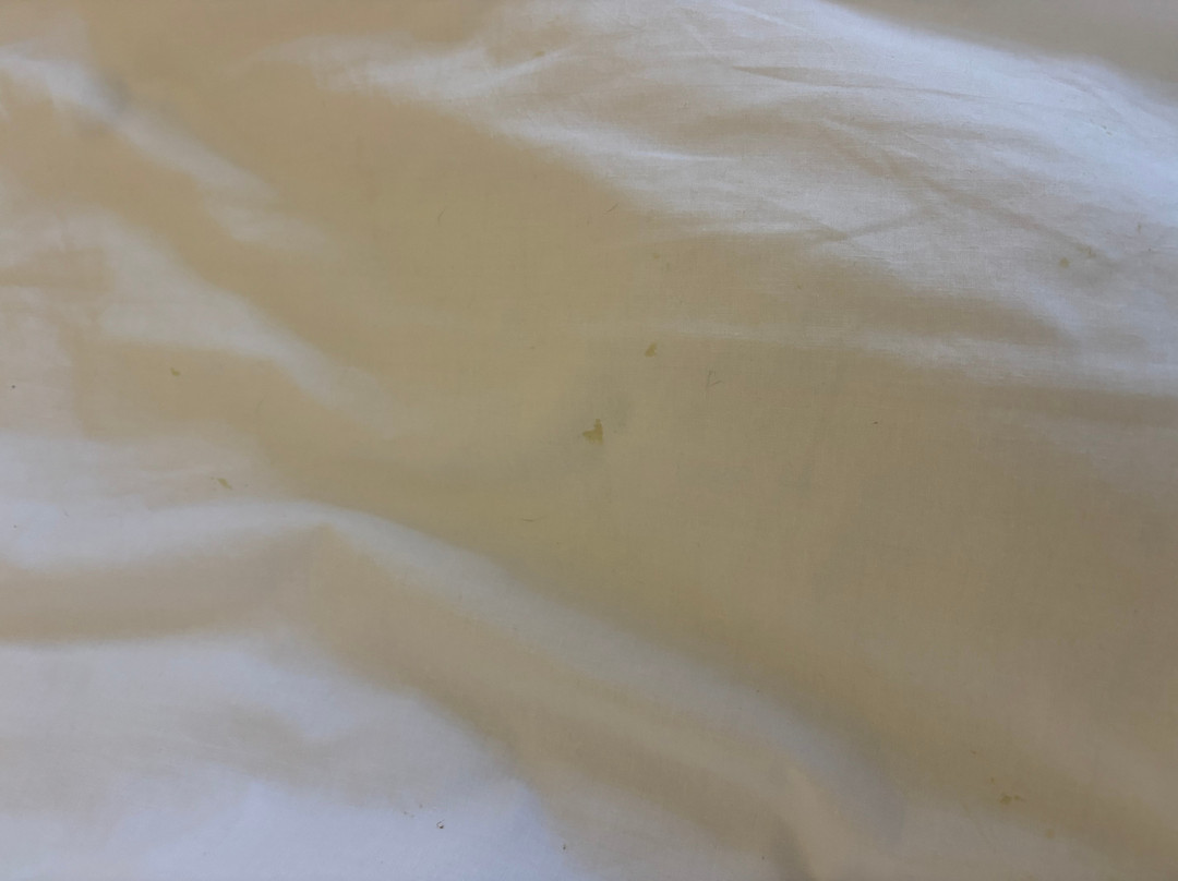 卡林顿豪斯酒店主图