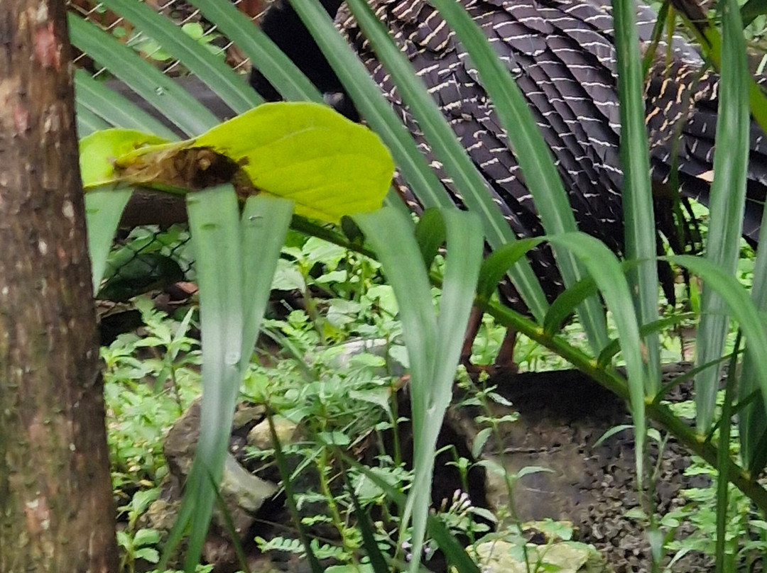 Parque Arvorar-Aquiraz必去景点