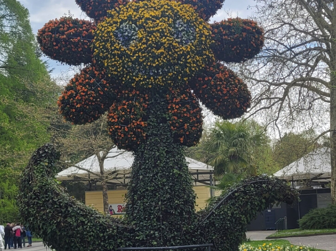Isle of Mainau-康士坦茨必去景点