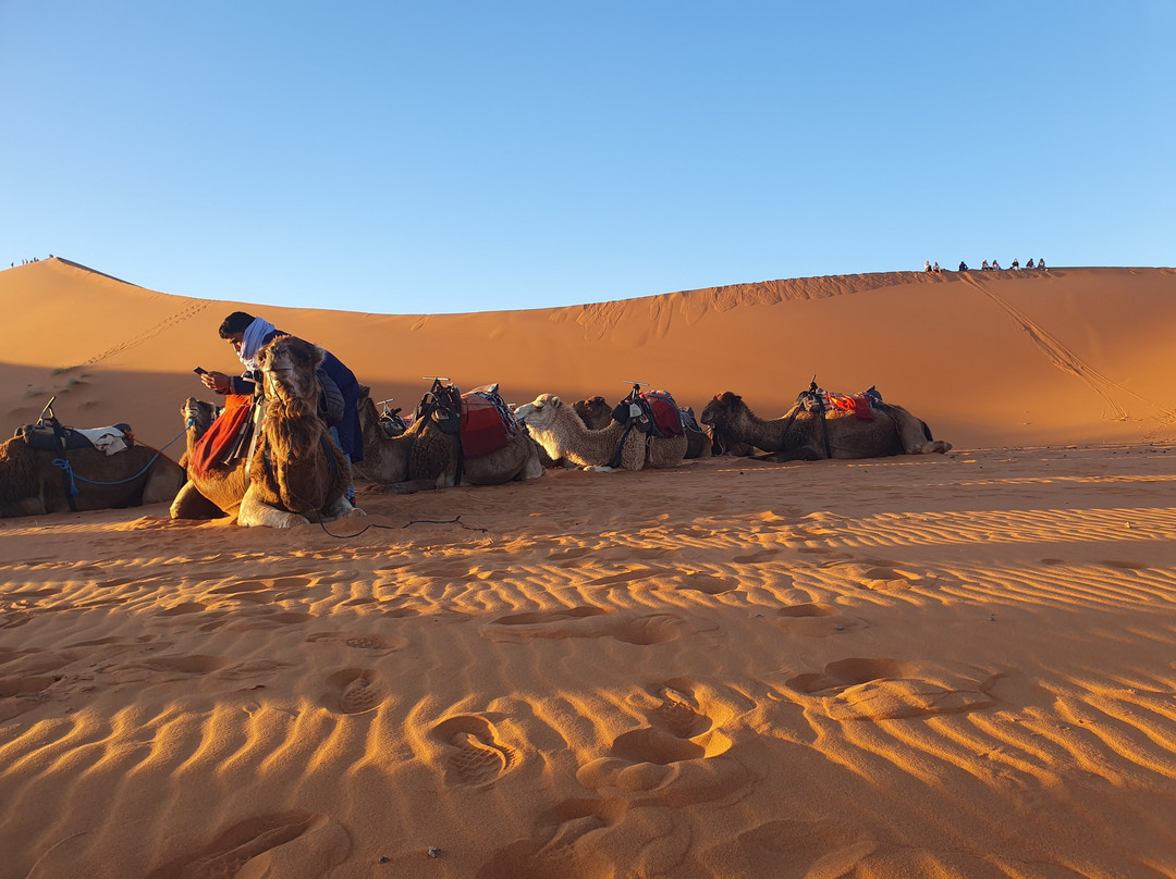 Tours in Marrakech-马拉喀什必去景点
