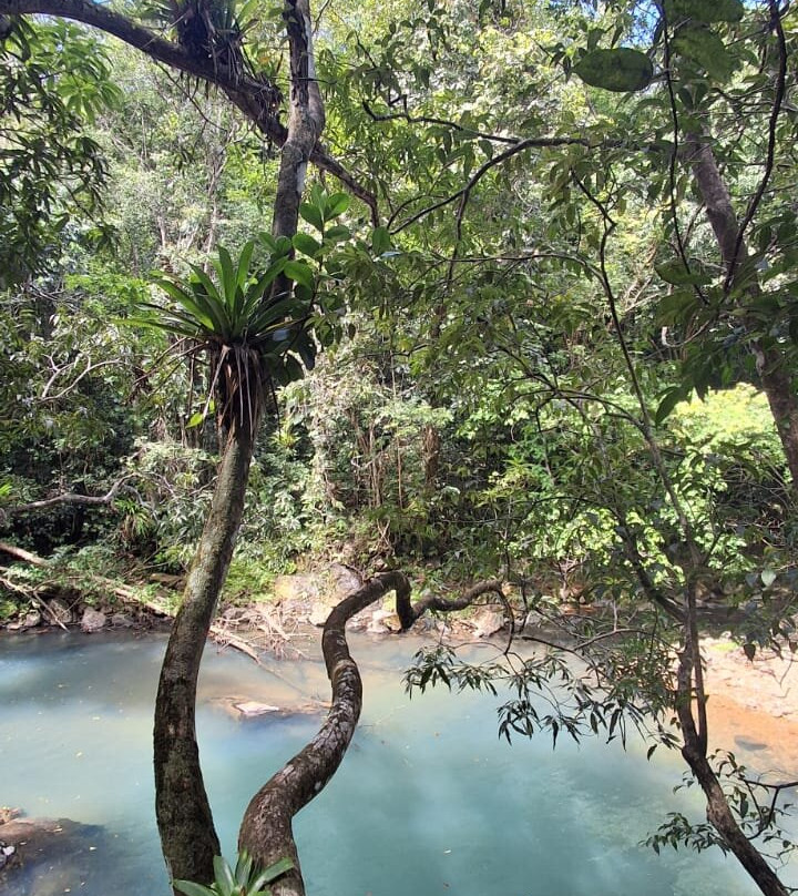 Yalodé Kayak Canyon Bain De Forêt-瓜德罗普岛必去景点