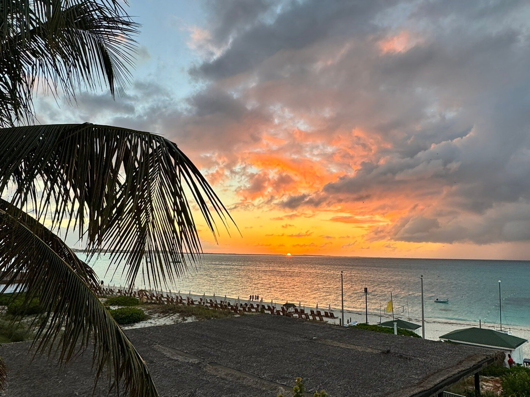 棕榈特克斯凯科斯酒店主图