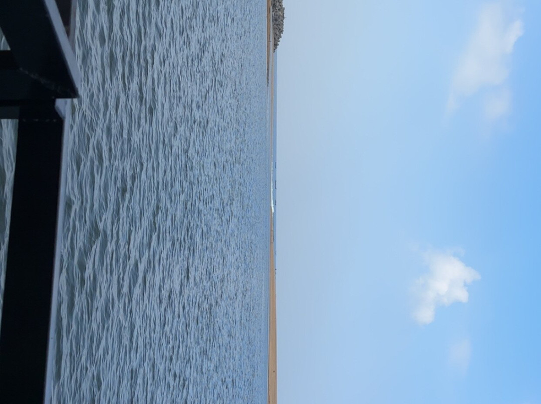 Estuary Sarovar Premiere，Poovar岛主图