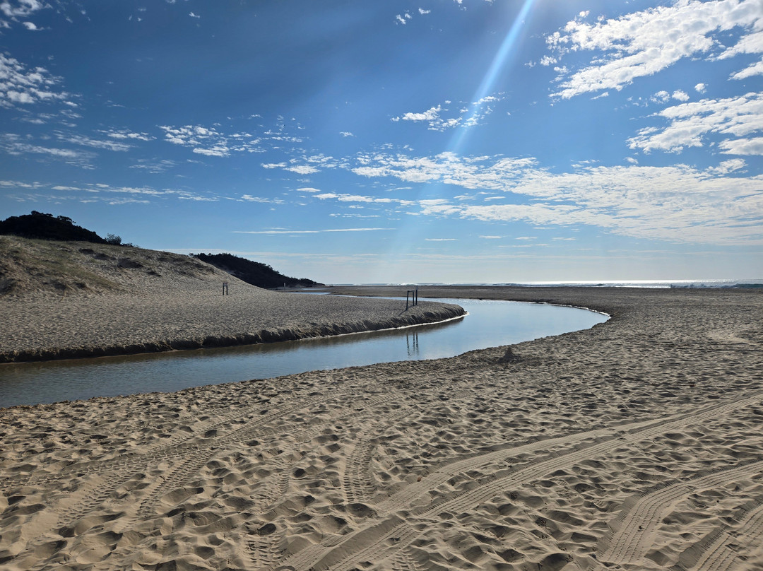 Drop Bear K'gari Fraser Island Adventures-弗雷泽岛必去景点