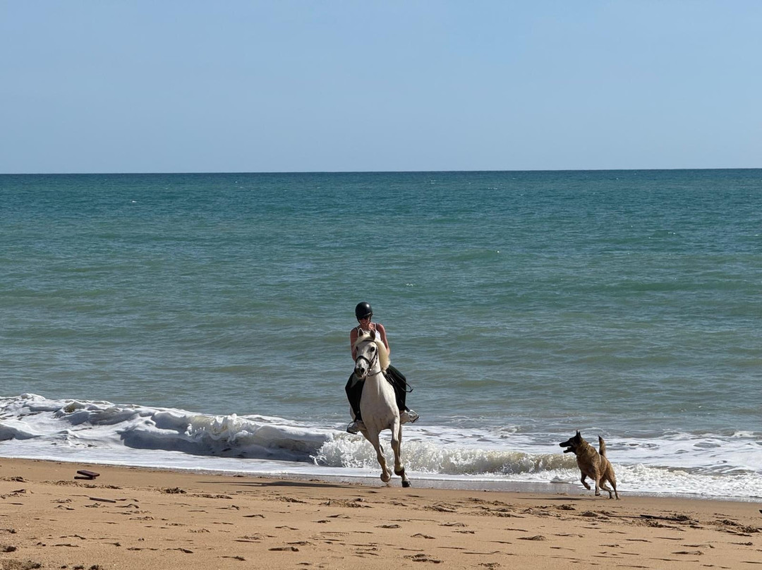 Clube Equestre A Palmeirinha-Almancil必去景点