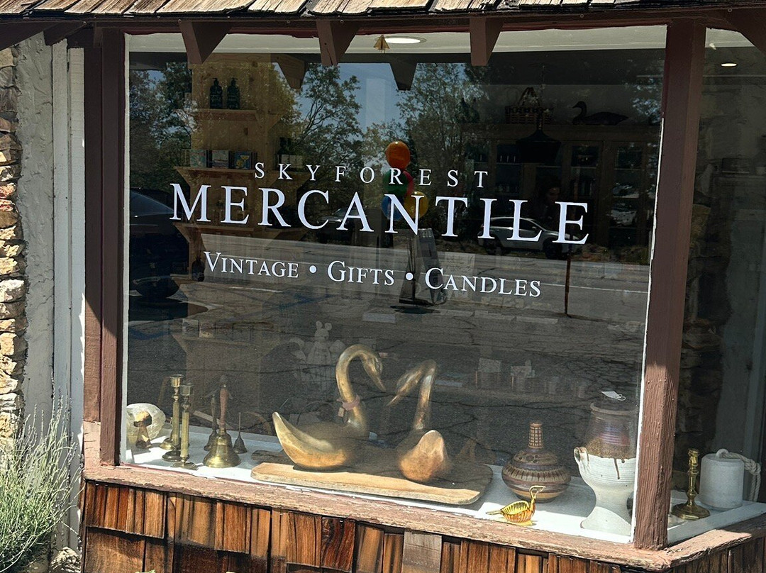 Skyforest Mercantile Home & Gift Store-Skyforest必去景点