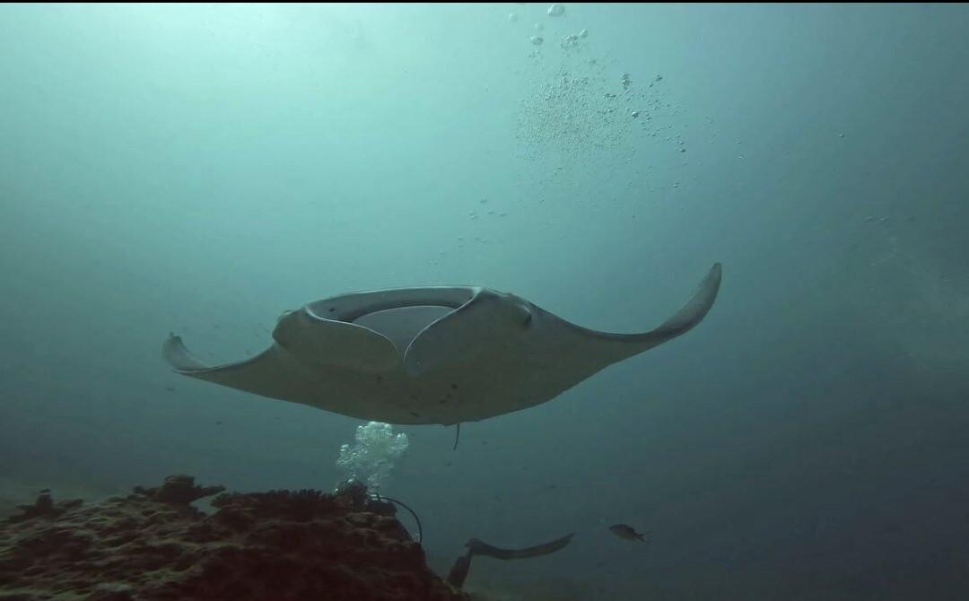 Addu Scuba Club-Hithadhoo Island必去景点