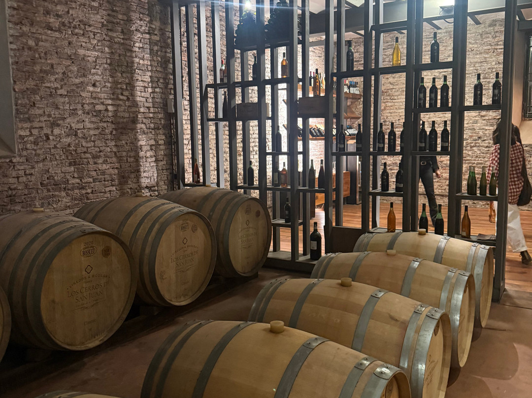 Bodega Los Cerros De San Juan-科洛尼亚·德尔萨克拉门托城必去景点